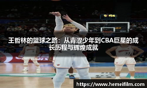王哲林的篮球之路：从青涩少年到CBA巨星的成长历程与辉煌成就